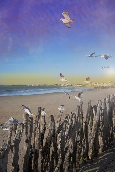 Premium Photographic Print, , large
