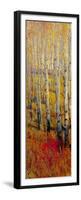 Vivid Birch Forest I-Tim O'toole-Framed Premium Giclee Print