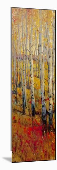 Vivid Birch Forest I-Tim O'toole-Mounted Premium Giclee Print