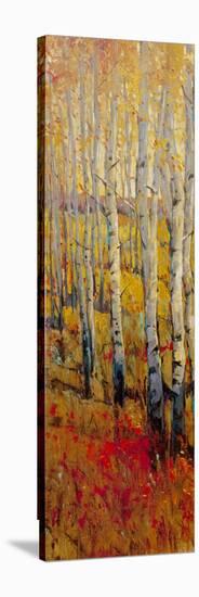 Vivid Birch Forest I-Tim O'toole-Stretched Canvas