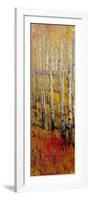 Vivid Birch Forest I-Tim O'toole-Framed Art Print