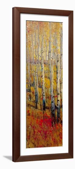 Vivid Birch Forest I-Tim O'toole-Framed Art Print