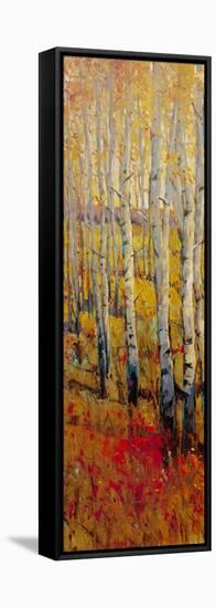 Vivid Birch Forest I-Tim O'toole-Framed Stretched Canvas