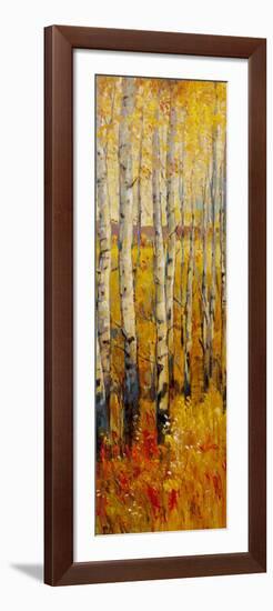 Vivid Birch Forest II-Tim O'toole-Framed Art Print