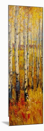 Vivid Birch Forest II-Tim O'toole-Mounted Art Print