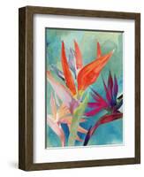 Vivid Birds of Paradise I-Jennifer Paxton Parker-Framed Art Print