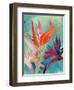 Vivid Birds of Paradise I-Jennifer Paxton Parker-Framed Art Print