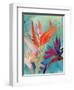 Vivid Birds of Paradise I-Jennifer Paxton Parker-Framed Art Print