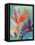 Vivid Birds of Paradise I-Jennifer Paxton Parker-Framed Stretched Canvas