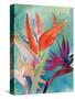 Vivid Birds of Paradise I-Jennifer Paxton Parker-Stretched Canvas