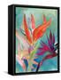 Vivid Birds of Paradise I-Jennifer Paxton Parker-Framed Stretched Canvas