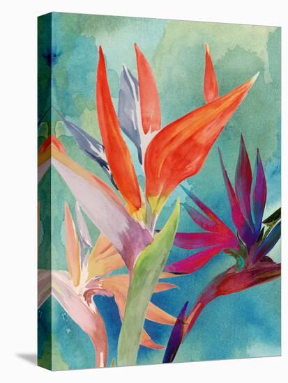 Vivid Birds of Paradise I-Jennifer Paxton Parker-Stretched Canvas