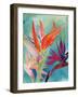 Vivid Birds of Paradise I-Jennifer Paxton Parker-Framed Art Print