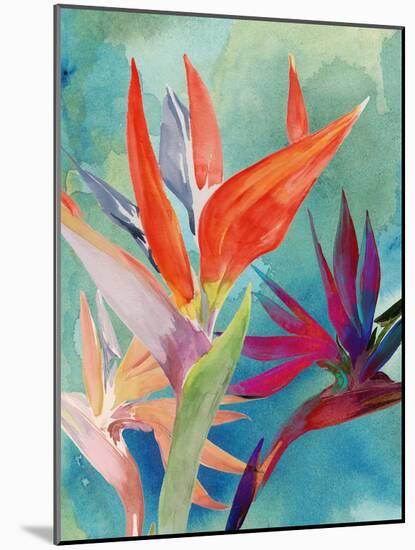 Vivid Birds of Paradise I-Jennifer Paxton Parker-Mounted Art Print