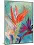 Vivid Birds of Paradise I-Jennifer Paxton Parker-Mounted Art Print