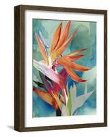 Vivid Birds of Paradise II-Jennifer Paxton Parker-Framed Art Print