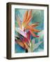 Vivid Birds of Paradise II-Jennifer Paxton Parker-Framed Art Print