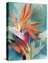 Vivid Birds of Paradise II-Jennifer Paxton Parker-Stretched Canvas