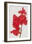 Vivid Bloom - Grow-Ben Wood-Framed Giclee Print