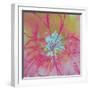 Vivid Bouquet I-Caroline Ashwood-Framed Giclee Print