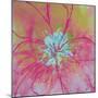 Vivid Bouquet I-Caroline Ashwood-Mounted Giclee Print