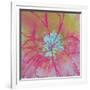 Vivid Bouquet I-Caroline Ashwood-Framed Giclee Print