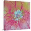 Vivid Bouquet I-Caroline Ashwood-Stretched Canvas