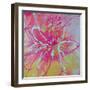 Vivid Bouquet II-Caroline Ashwood-Framed Giclee Print