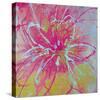 Vivid Bouquet II-Caroline Ashwood-Stretched Canvas