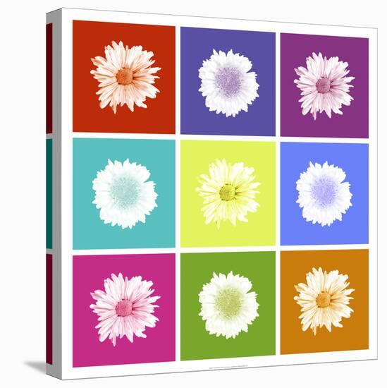 Vivid Bouquet-Jason Johnson-Stretched Canvas