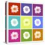 Vivid Bouquet-Jason Johnson-Stretched Canvas