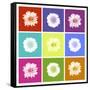 Vivid Bouquet-Jason Johnson-Framed Stretched Canvas