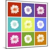 Vivid Bouquet-Jason Johnson-Mounted Art Print