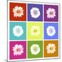 Vivid Bouquet-Jason Johnson-Mounted Art Print