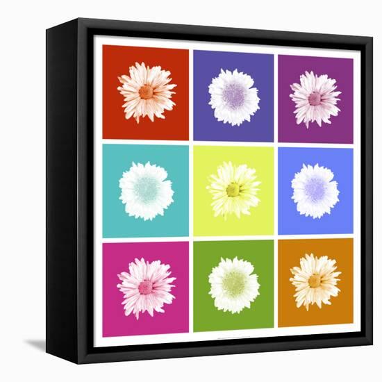 Vivid Bouquet-Jason Johnson-Framed Stretched Canvas