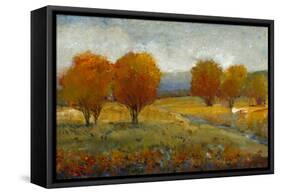 Vivid Brushstrokes II-Tim O'toole-Framed Stretched Canvas