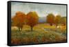 Vivid Brushstrokes II-Tim O'toole-Framed Stretched Canvas