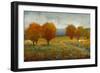 Vivid Brushstrokes II-Tim O'toole-Framed Art Print