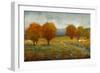 Vivid Brushstrokes II-Tim O'toole-Framed Art Print