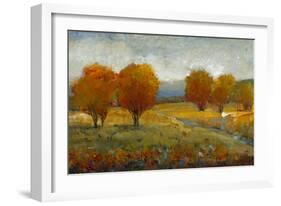 Vivid Brushstrokes II-Tim O'toole-Framed Art Print