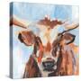 Vivid Cattle IV-Annie Warren-Stretched Canvas