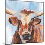 Vivid Cattle IV-Annie Warren-Mounted Art Print