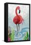 Vivid Flamingo II-Chariklia Zarris-Framed Stretched Canvas