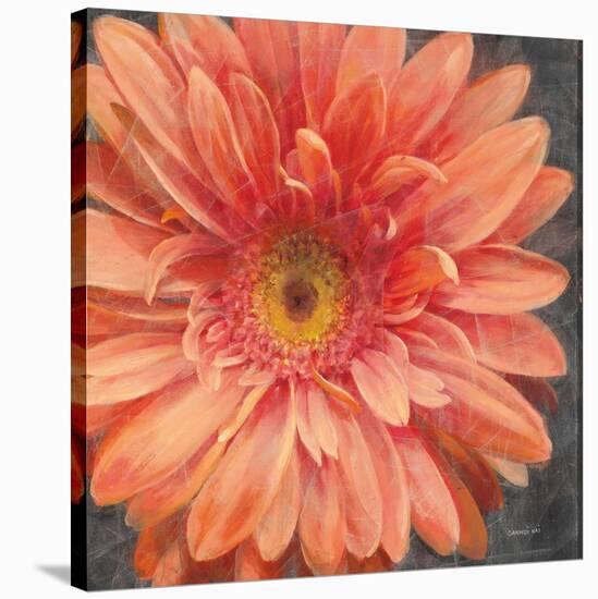 Vivid Floral II Crop-Danhui Nai-Stretched Canvas