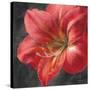 Vivid Floral III Crop-Danhui Nai-Stretched Canvas