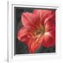 Vivid Floral III Crop-Danhui Nai-Framed Art Print