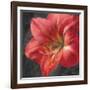 Vivid Floral III Crop-Danhui Nai-Framed Art Print