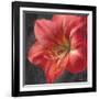 Vivid Floral III Crop-Danhui Nai-Framed Art Print