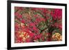 Vivid Maple-Peter Adams-Framed Giclee Print