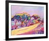 Vivid Pathway-Gerry Baptist-Framed Giclee Print